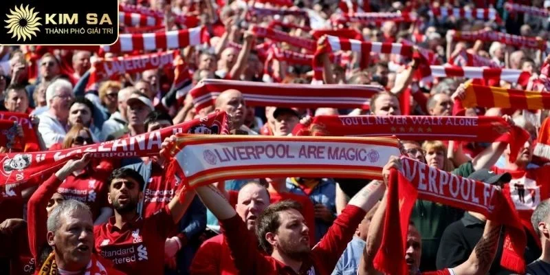 Liverpool Kimsa Mới Nhất - Lịch Thi Đấu Và Kèo Hot 3 CLB đang ngày càng vươn lên trong hành trình của mình